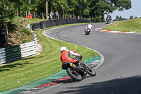 Vintage-motorcycle-club;eventdigitalimages;mallory-park;mallory-park-trackday-photographs;no-limits-trackdays;peter-wileman-photography;trackday-digital-images;trackday-photos;vmcc-festival-1000-bikes-photographs